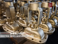 //inrorwxhlpiilr5q-static.leadongcdn.com/cloud/miBpoKnrRllSiqooropjk/C95800-Gate-Valve.jpg