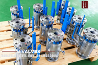 //inrorwxhlpiilr5q-static.leadongcdn.com/cloud/miBpoKnrRllSmlmppklil/Industrial-Grade-Stainless-Steel-DBB-Ball-Valve.jpg