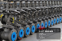 //inrorwxhlpiilr5q-static.leadongcdn.com/cloud/miBpoKnrRllSmqlplpppn/2-5-150LB-WCB-Casting-Globe-Valve.jpg