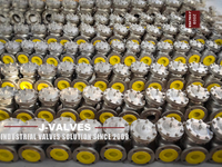 //inrorwxhlpiilr5q-static.leadongcdn.com/cloud/miBpoKnrRllSqkrnrkllj/Check-Valve.jpg