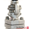 1/2 pulgada 800 lb de acero inoxidable F316L Válvula de compuerta NPT roscada