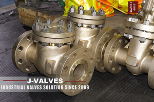2.5“ 300LB C95800 Check Valve.jpg