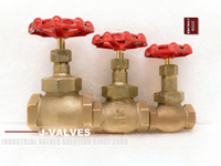 //inrorwxhlpiilr5q-static.leadongcdn.com/cloud/mkBpoKnrRllSllnmmnlpl/Bronze-Globe-Valves.jpg