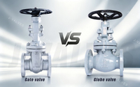 //inrorwxhlpiilr5q-static.leadongcdn.com/cloud/mkBpoKnrRllSmonppmlmn/GATE-VALVE-VS-GLOBE-VALVE.jpg