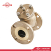 Colador Y de 2'150LB C95800