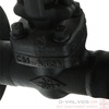 API602 soldadura de brida de acero forjado de 3/4 pulgadas 300 lb válvula de globo