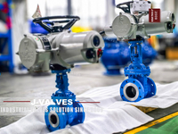 //inrorwxhlpiilr5q-static.leadongcdn.com/cloud/mlBpoKnrRllSlikjiolpj/WCB-Electric-Actuated-Flanged-Gate-Valve.jpg