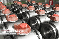 //inrorwxhlpiilr5q-static.leadongcdn.com/cloud/mmBpoKnrRllSmqljppppl/Precision-machined-trunnion-mounted-ball-valve.jpg