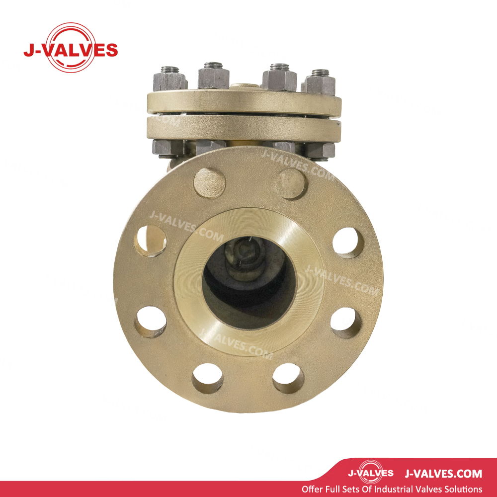 V&aacute;lvula de retenci&oacute;n C95800 de 2,5'300LB
