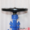 Válvula de puerta con brida de acero al carbono DIN PN40 GS-C25