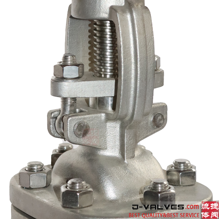 Válvula de puerta con brida de acero inoxidable DIN PN16 CF8
