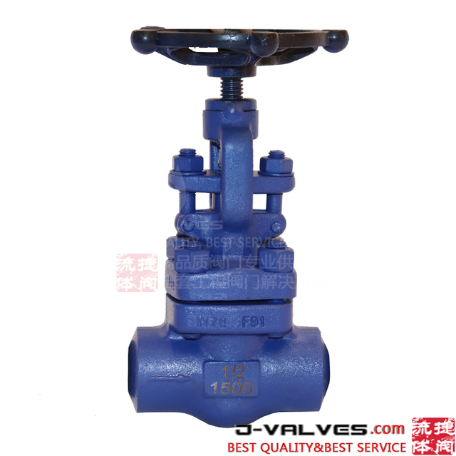 F91 1500 lb Anticorrosión Válvula de globo F-NPT de acero inoxidable forjado