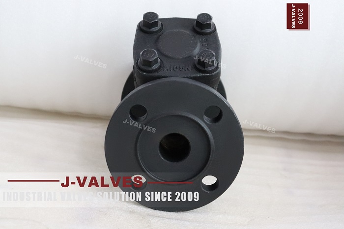 ASME B16.34 Filtro en Y (4)