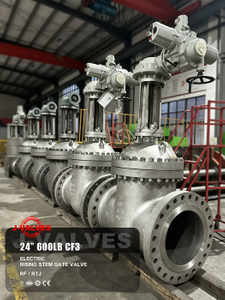 24“ 600LB CF3 Electric Rising Stem Gate Valve.jpg