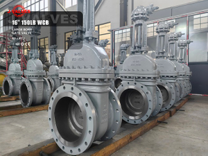 Large Bore Gate Valve.jpg