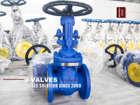 //inrorwxhlpiilr5q-static.leadongcdn.com/cloud/mpBpoKnrRllSkirjqnlii/Gate-Valves1.jpg