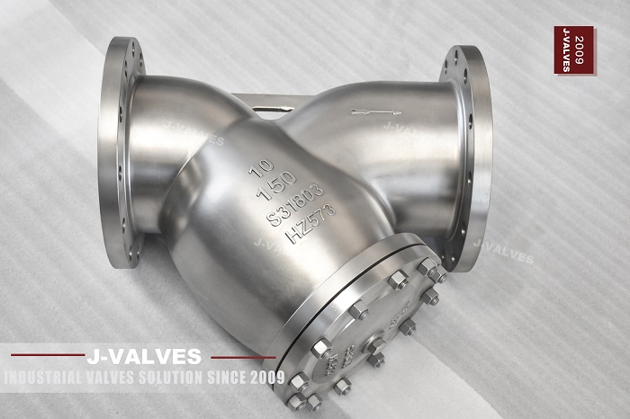 Filtro en Y de 10' 300LB S31803 (3)