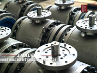 //inrorwxhlpiilr5q-static.leadongcdn.com/cloud/mqBpoKnrRllSlijrorlni/Trunnion-ball-valves.jpg