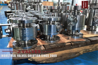 //inrorwxhlpiilr5q-static.leadongcdn.com/cloud/mqBpoKnrRllSminimolqk/High-Platform-Flanged-Ball-Valve.jpg