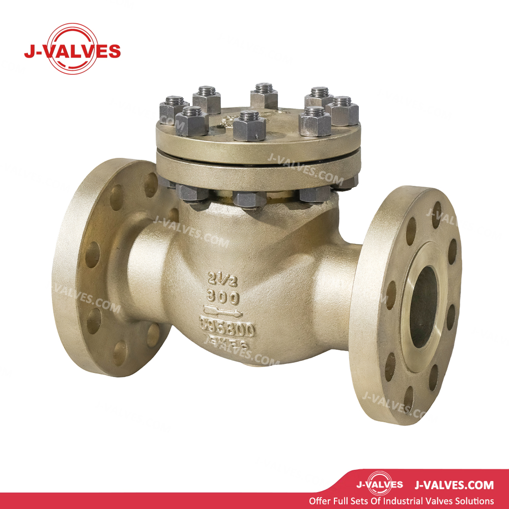 V&aacute;lvula de retenci&oacute;n C95800 de 2,5'300LB